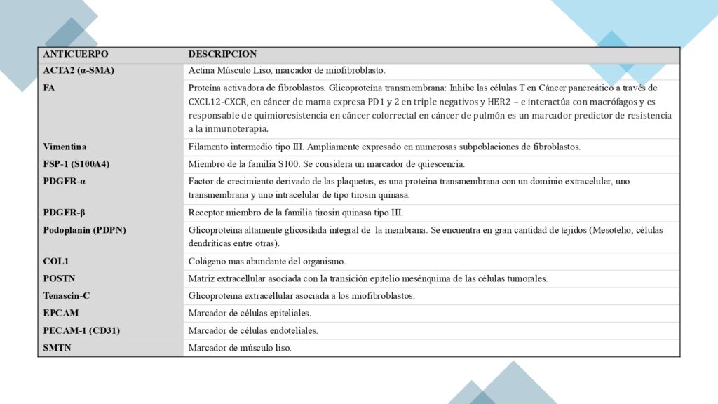 TABLA DE BIOMARCADORES DE FIBROBLASTOS ASOCIADOS AL CANCER